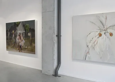 20120509 Alex Fischer Beyond The Fall Galerie BAC 06 Cookes Cape +Parrots documentation.jpg